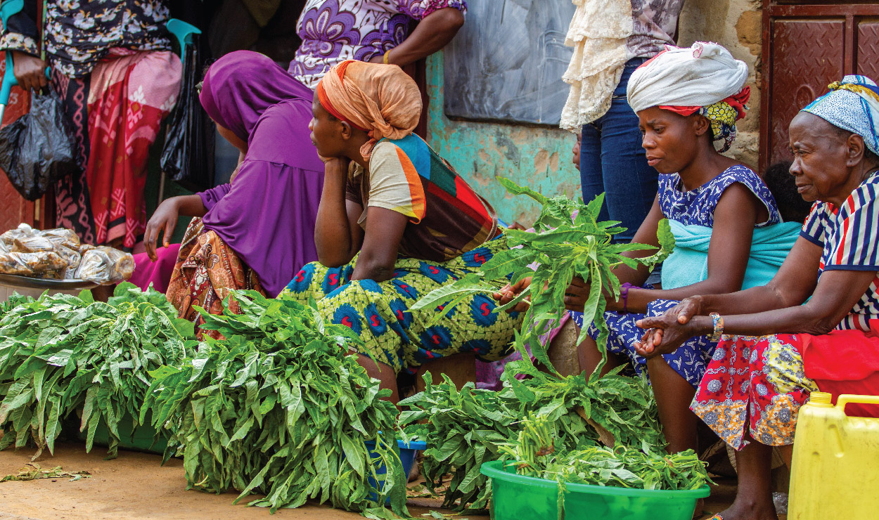 Donate to Shared Action Africa